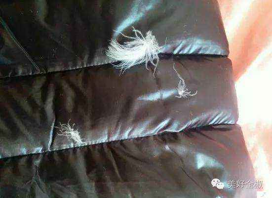 羽絨服鉆絨,